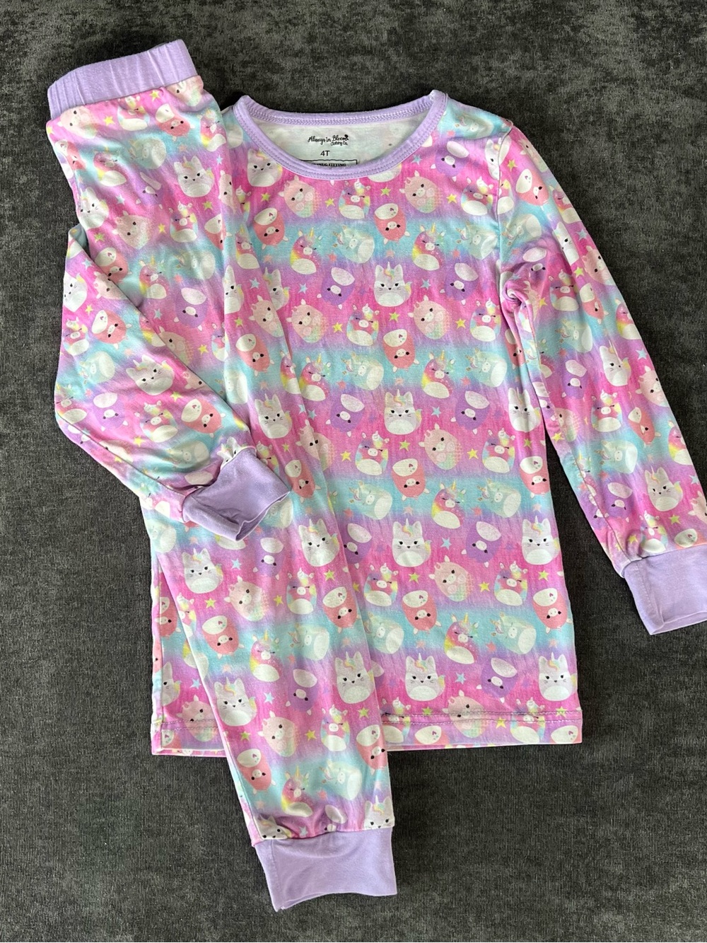 Always In Bloom Girls Bamboo Squishmallows Pajamas Size 4T